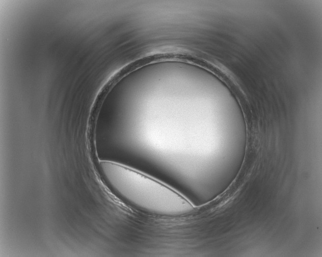 X0000062790783200512221131