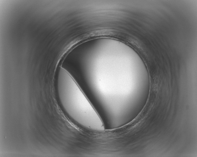 X0000062790786200512221131