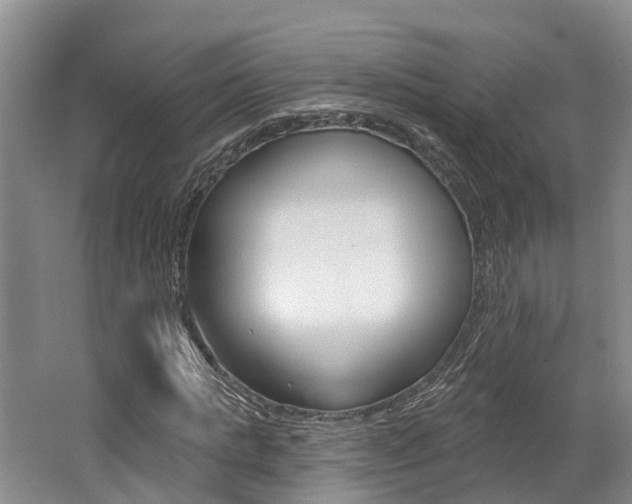 X0000062790821200512221129