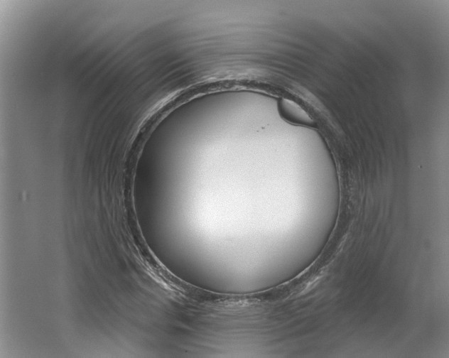 X0000062790826200512221129