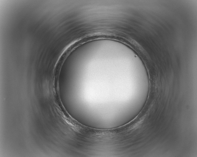 X0000062790830200512221129