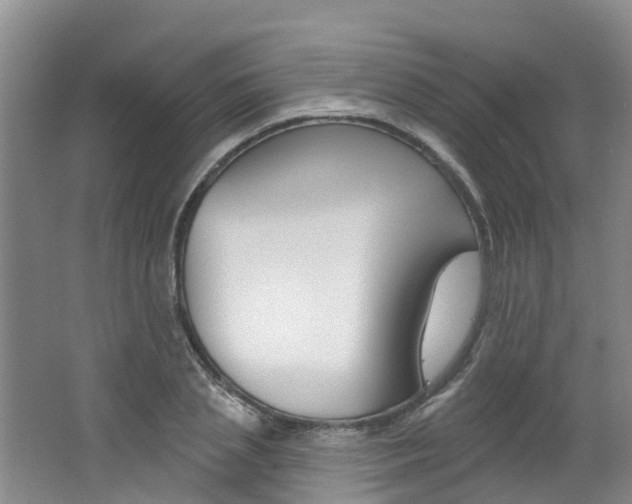 X0000062790837200512221130