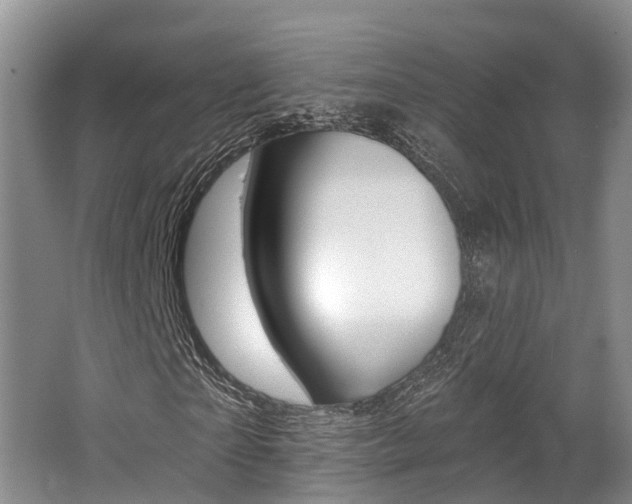 X0000062790865200512221129