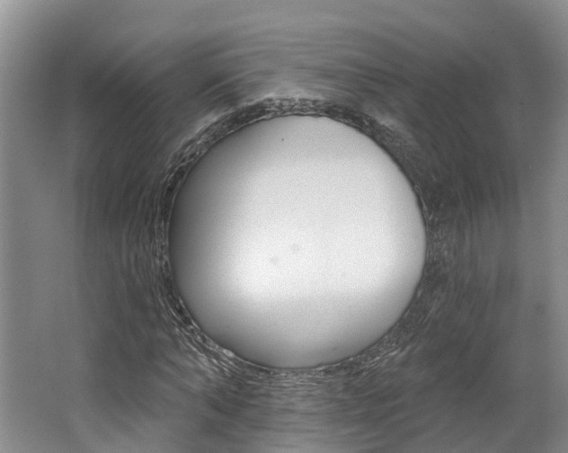 X0000062790870200512221129