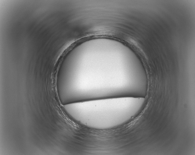 X0000062790875200512221129