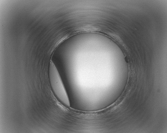 X0000062790889200512221129