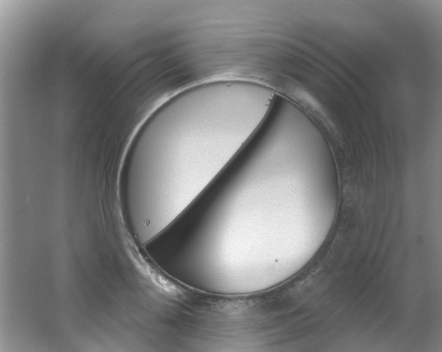 X0000062790892200512221129