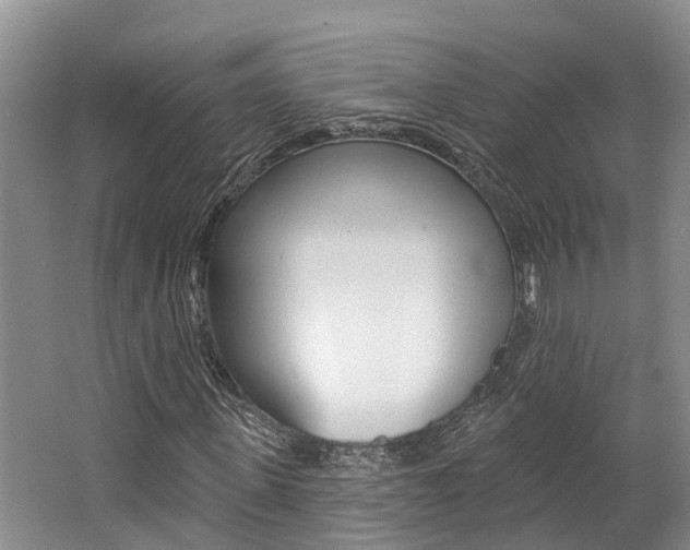 X0000062790915200512221128