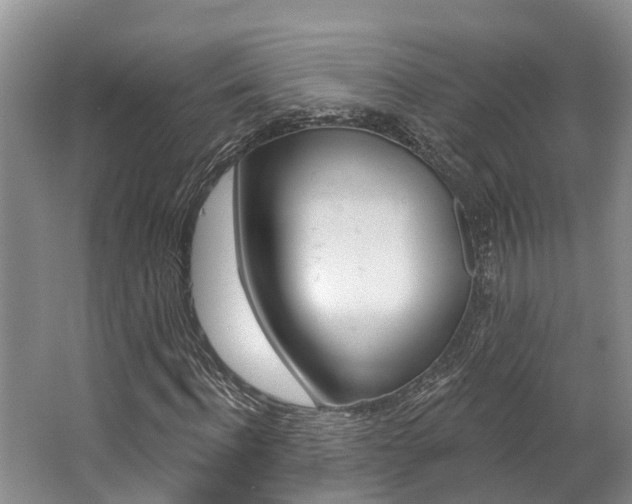 X0000062790916200512221128