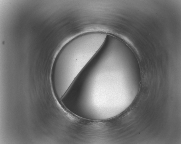 X0000062790943200512221128