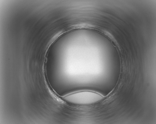 X0000062790946200512221128