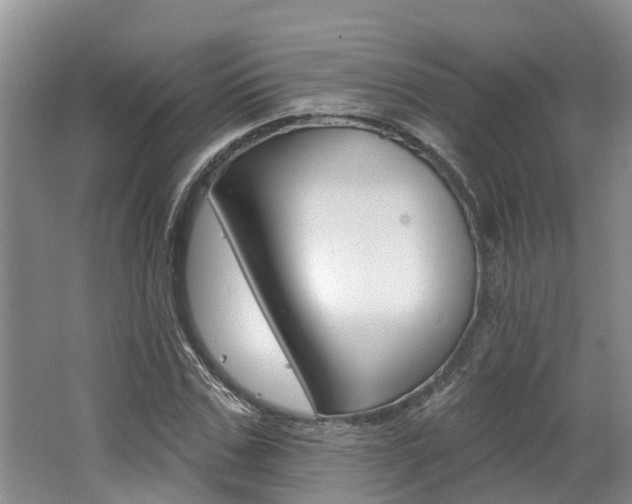 X0000062790971200512221127