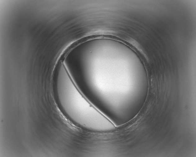 X0000062790972200512221127