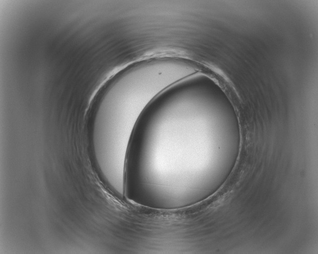 X0000062790973200512221127