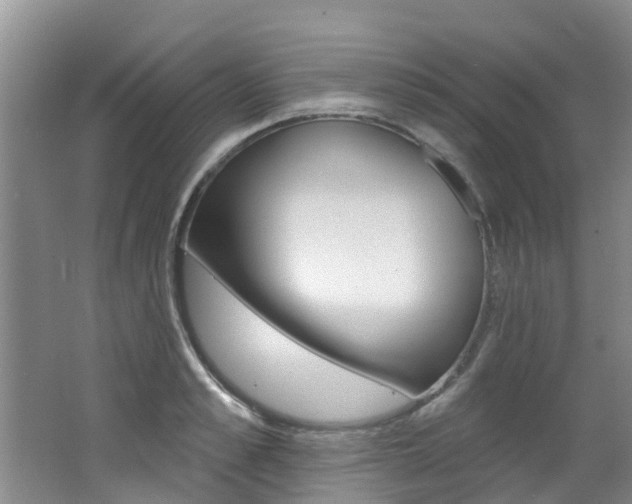 X0000062790989200512221127