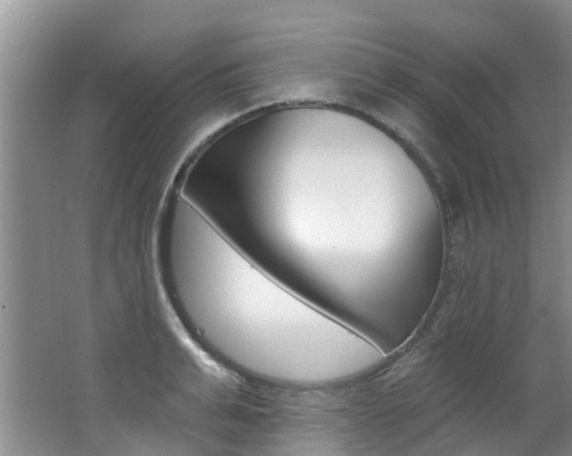 X0000062790991200512221127