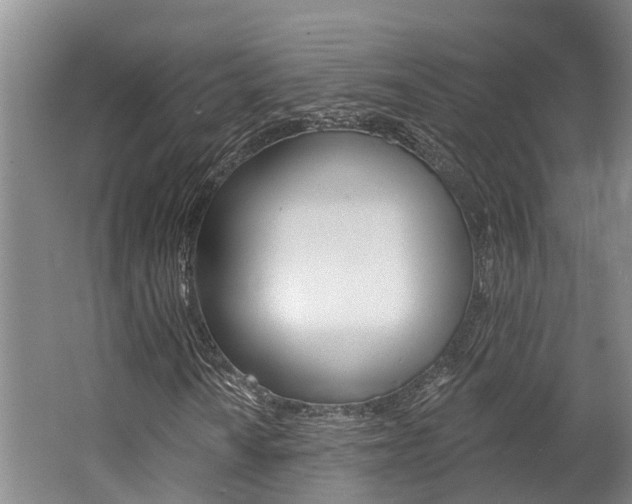 X0000062791010200512221126