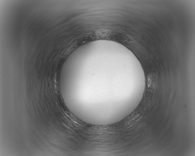 X0000062791011200512221126