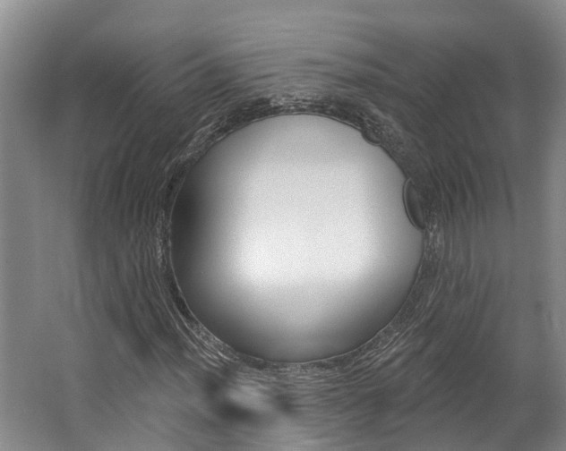X0000062791012200512221126