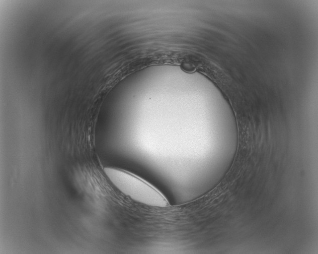 X0000062791013200512221126