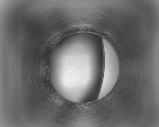 X0000062791014200512221126