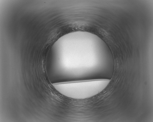 X0000062791060200512221126