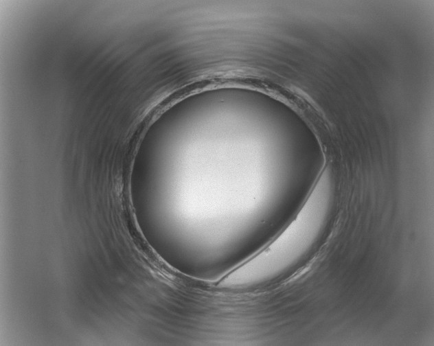 X0000062791065200512221126