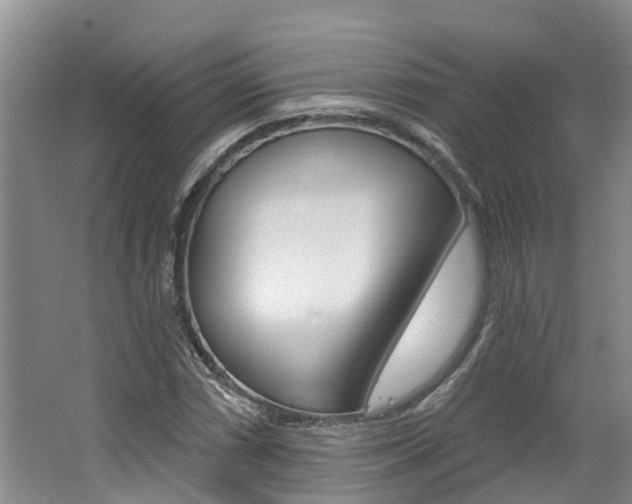 X0000062791066200512221126