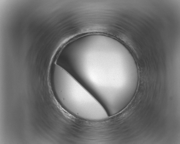 X0000062791072200512221126