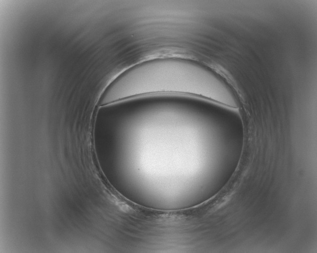 X0000062791081200512221125