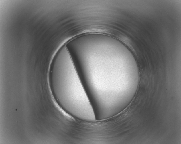 X0000062791084200512221125