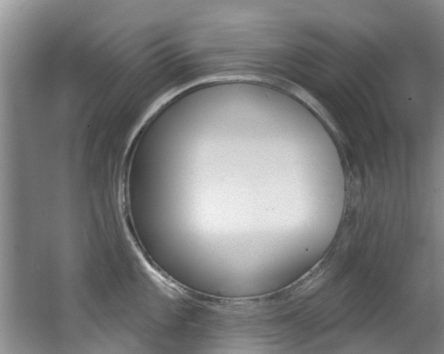 X0000062791101200512221125