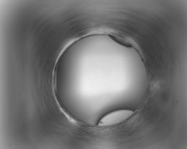 X0000062791103200512221125