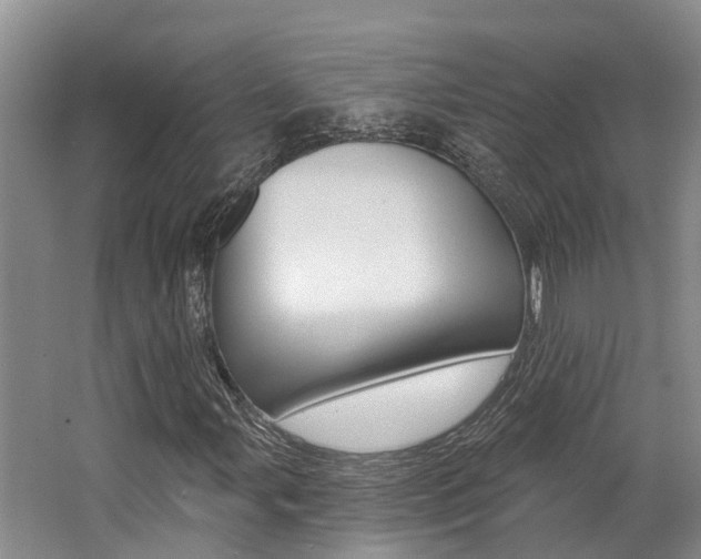 X0000062791107200512221124
