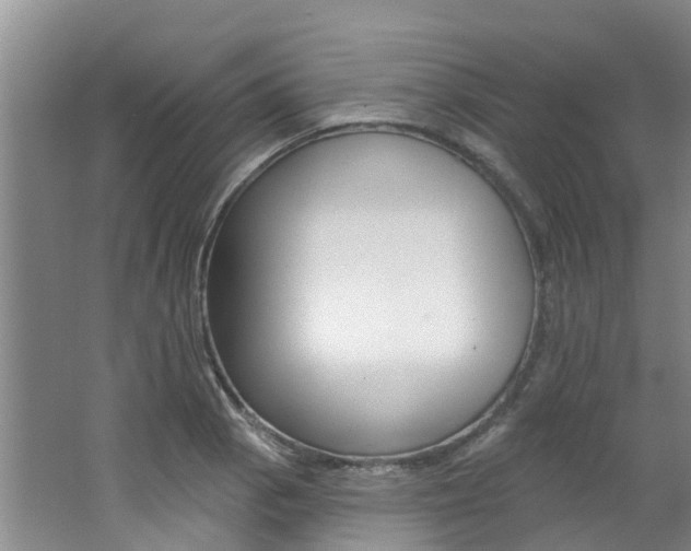 X0000062791129200512221125