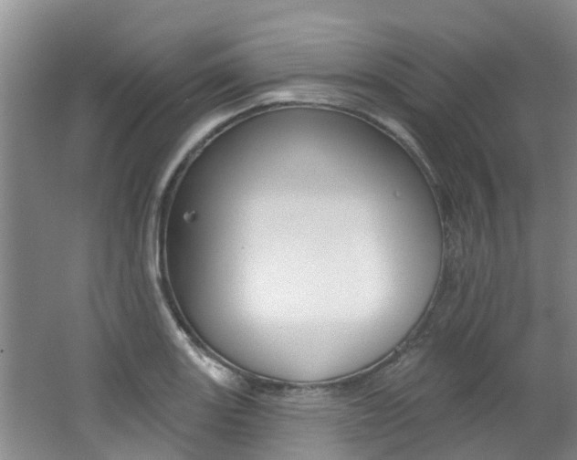 X0000062791131200512221125