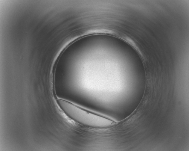 X0000062791140200512221125