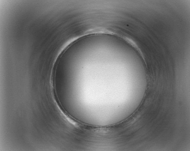 X0000062791141200512221125