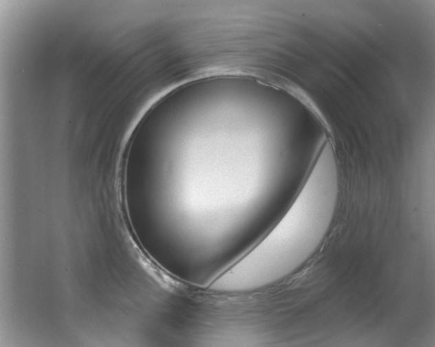 X0000062791148200512221125