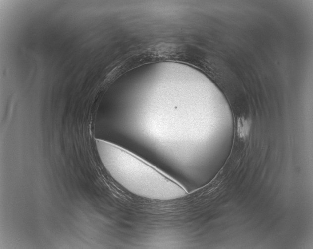 X0000062791155200512221124