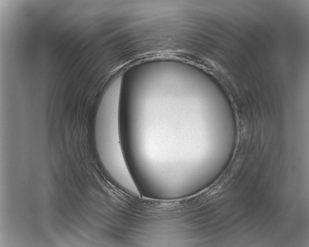 X0000062791161200512221124
