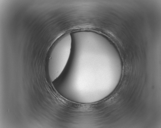 X0000062791162200512221124