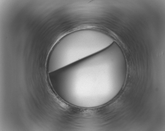 X0000062791178200512221124