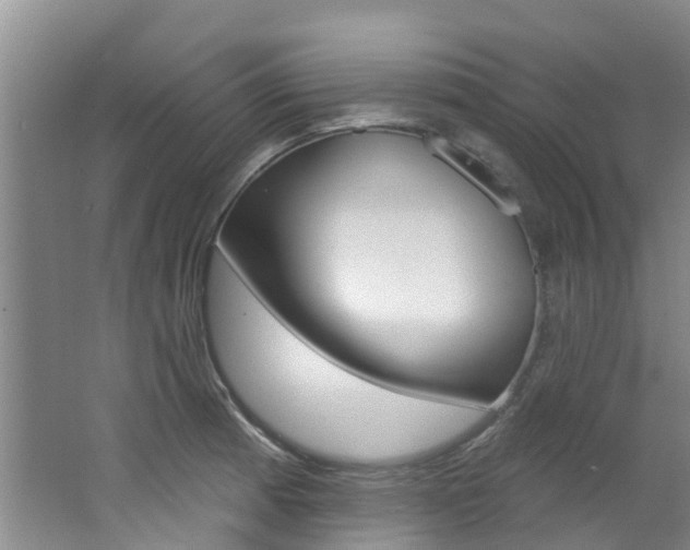 X0000062791185200512221124