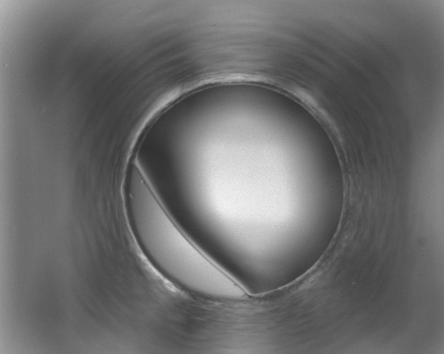 X0000062791189200512221124