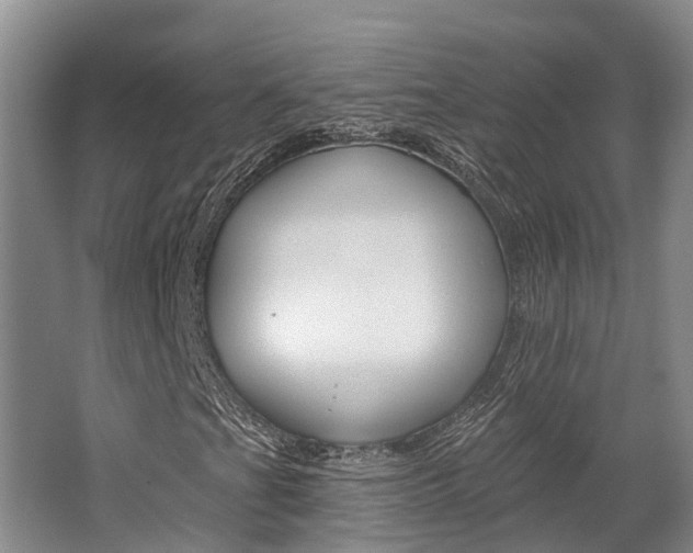 X0000062791201200512221123