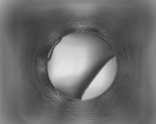 X0000062791204200512221123
