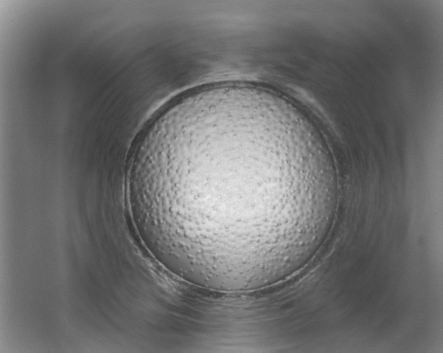 X0000062791220200512221123