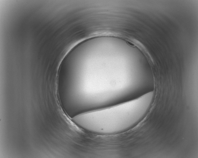 X0000062791244200512221123