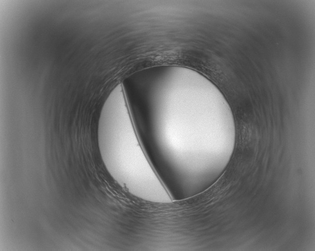 X0000062791250200512221122